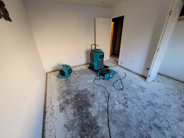 Best Water damage restoration services  in Methuen Town, MA