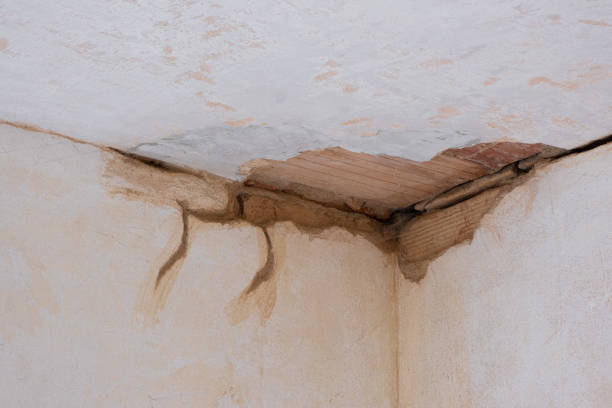 Best Ceiling water damage repair  in Methuen Town, MA