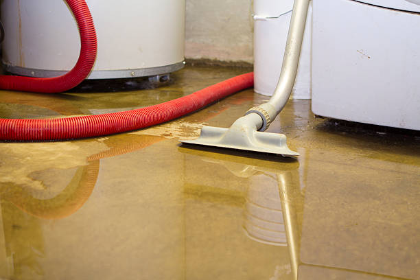  Methuen Town, MA Water damage restoration Pros