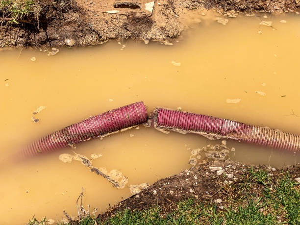 Water damage restoration mold remediation in Methuen Town, MA